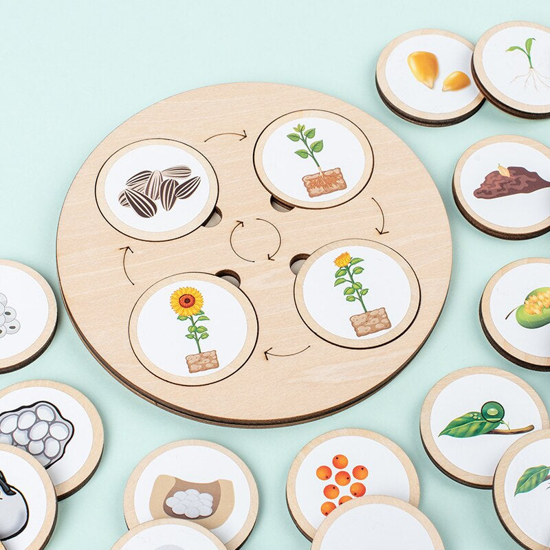 Puzzle d’apprentissage en bois – Apprenez à trouver le cercle de la vie !