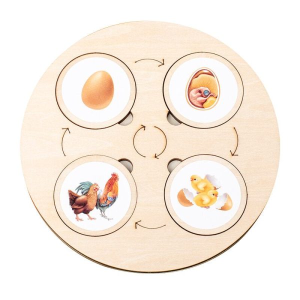 Apprentissage interactif avec des pièces en bois solides