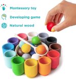 Activité ludique de tri et d'apprentissage en bois