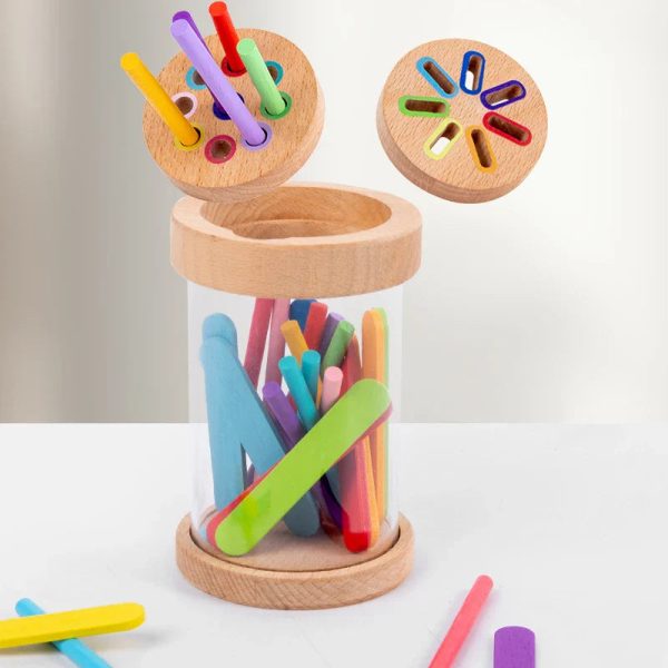 Woods - Jeu de tri des couleurs pour enfants 3 à 4 ans